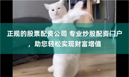 正规的股票配资公司 专业炒股配资门户，助您轻松实现财富增值