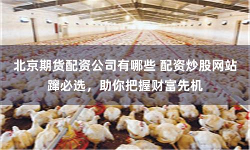 北京期货配资公司有哪些 配资炒股网站蹿必选，助你把握财富先机