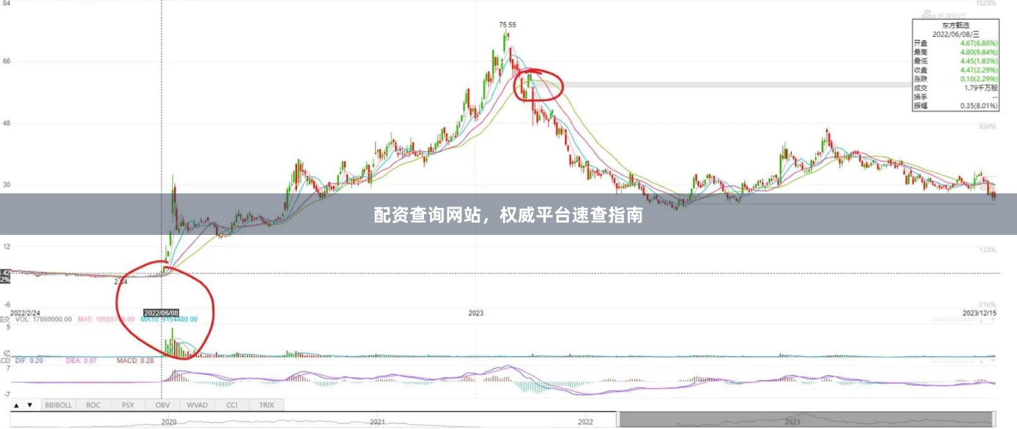 配资查询网站，权威平台速查指南